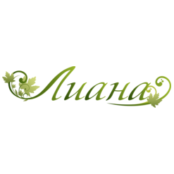 Отель Лиана