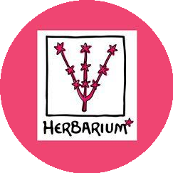 Herbarium-Flora