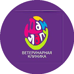 Дай лапу