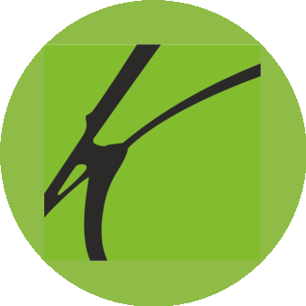 Квадра, студия