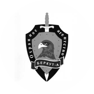БЕРКУТ-А