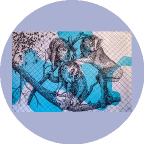 Ружичка Н.А.