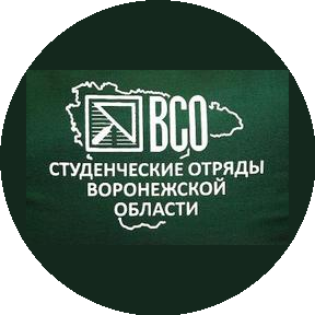 МООО РСО Воронежский отряд проводников