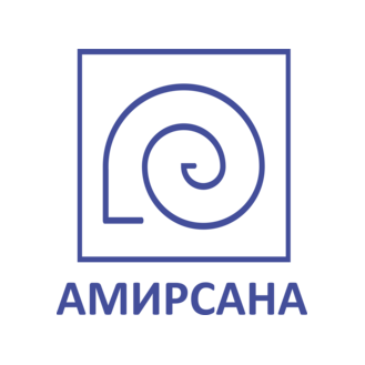 Амирсана 2000