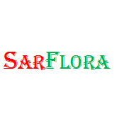 Азизов Шахмар Мазахир Оглы