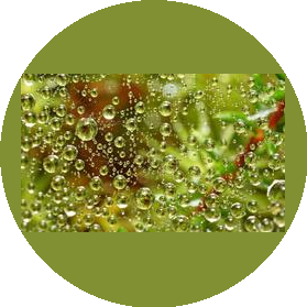 ГБОУ СОШ №156