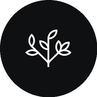 PURIFY FLOWERS
