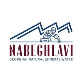 HEALTHY WATER ASIA (Хелси Вотер Эйжа)