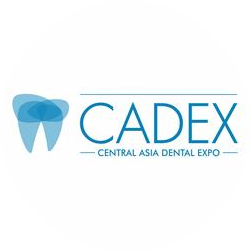 Dental Forum
