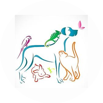 Касумов Муслим Касумович