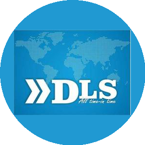 Дейли Логистик Сервис