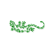 Волков Владимир Владимирович