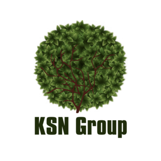 КСН Групп
