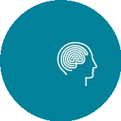 Институт мозга человека им. Н.П. Бехтеревой Российской академии наук (ИМЧ РАН)