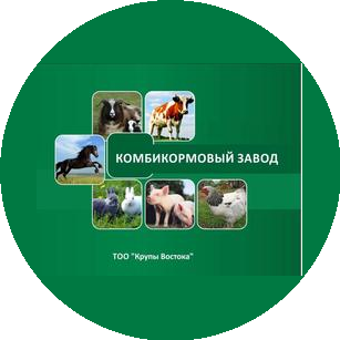 Саликжанова