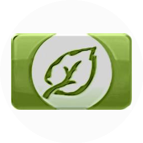 ОГБУЗ ИОКТБ