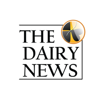 DairyNews.ru, Специализированный информационный портал