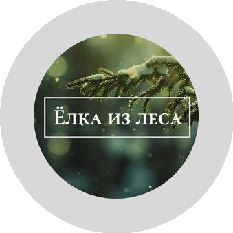 Елка из Леса