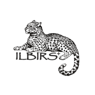 Илбирс Плюс