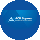 АСК Ворота