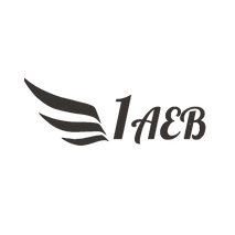 1-е воздушное экскурсионное бюро