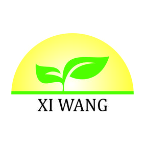 Xi Wang