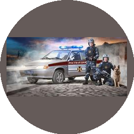 Ступинский ОВО - филиал ФГКУ УВО ВНГ России по Московской области