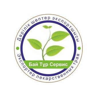 Бай Тур Сервис