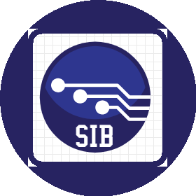 Системная Интеграция Бизнеса