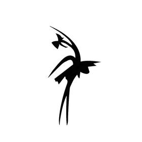 АНО ПО Школа классического танца