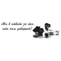 Ветеринарная практика