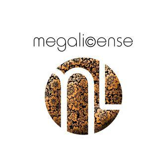 Мегалайсенз Интернешнл