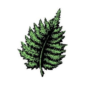 Русская Недвижимость