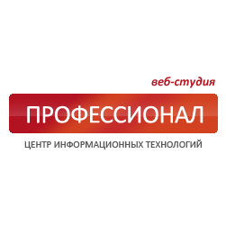 Веб-студия Профессионал
