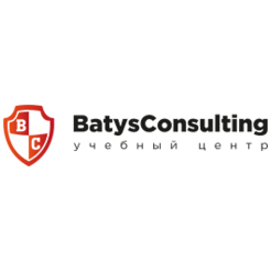 Batys Consulting