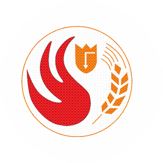 ОКБ по теплогенераторам