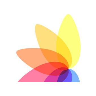 FestivalColor