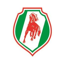 Тулпар, Холдинговая компания