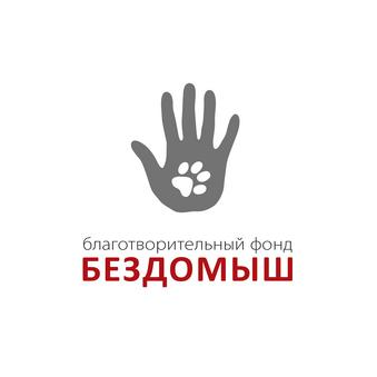 Благотворительный фонд БЕЗДОМЫШ