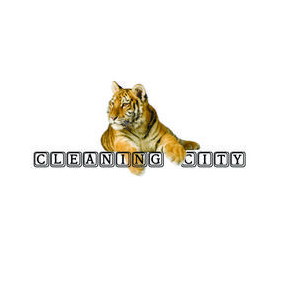 Ким (Cleaning city)