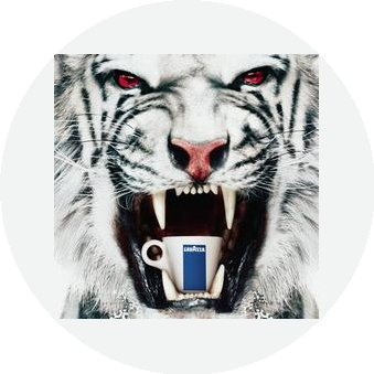 Lavazza31
