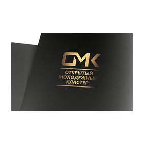 Открытый Молодежный Кластер (СПб РООС ВОИН)