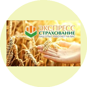 Целевой сегмент
