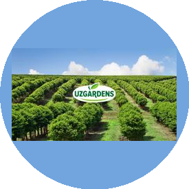 УзГарденс
