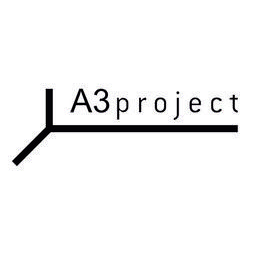 A3 project