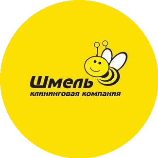 Бадулина Юлия Викторовна