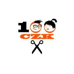 100 CZK Company
