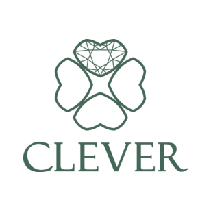 Ювелирная студия CLEVER
