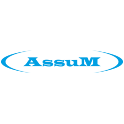 Ассум