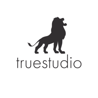 truestudio (Цабель А.А.)